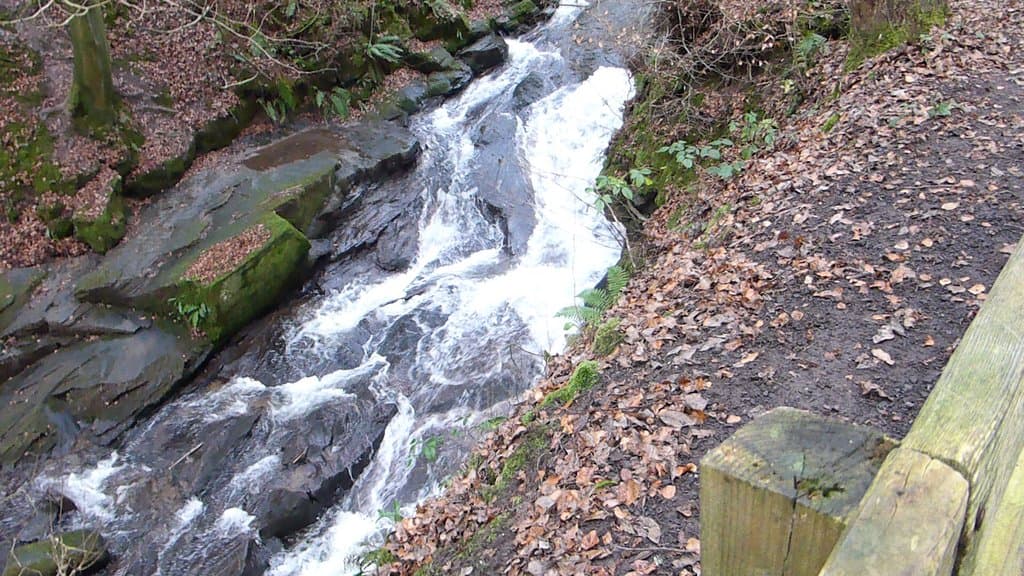 Fantastic small woodland walk with a burn running through the middle.  Great for dog walking.  Lots of wildlife, too, including squirrels, treecreepers, and bullfinches.  Definitely worth a visit!