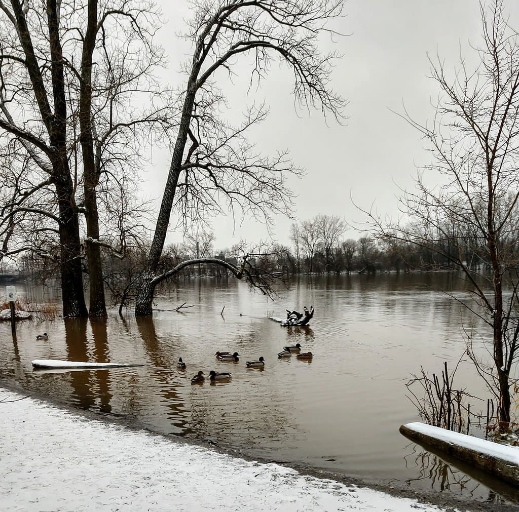 Riverside Park