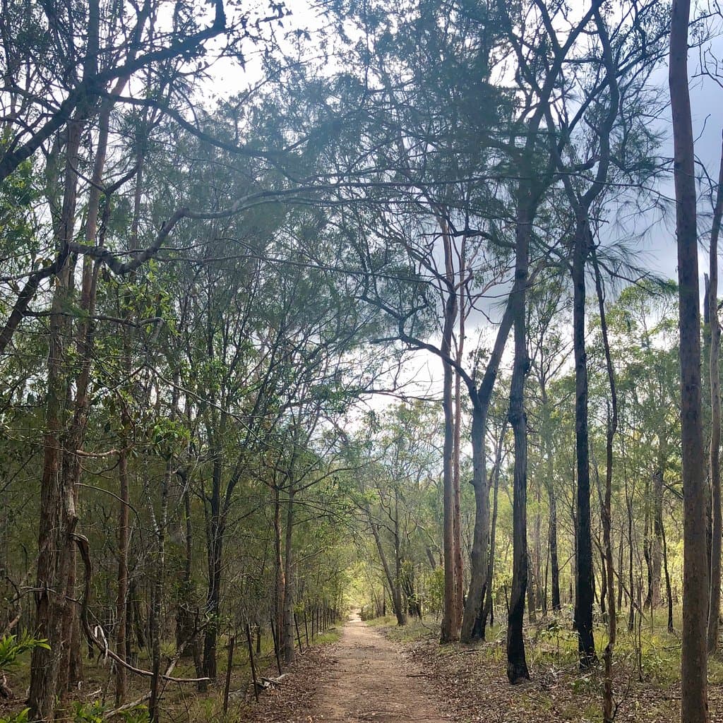 Venman Bushland National Park