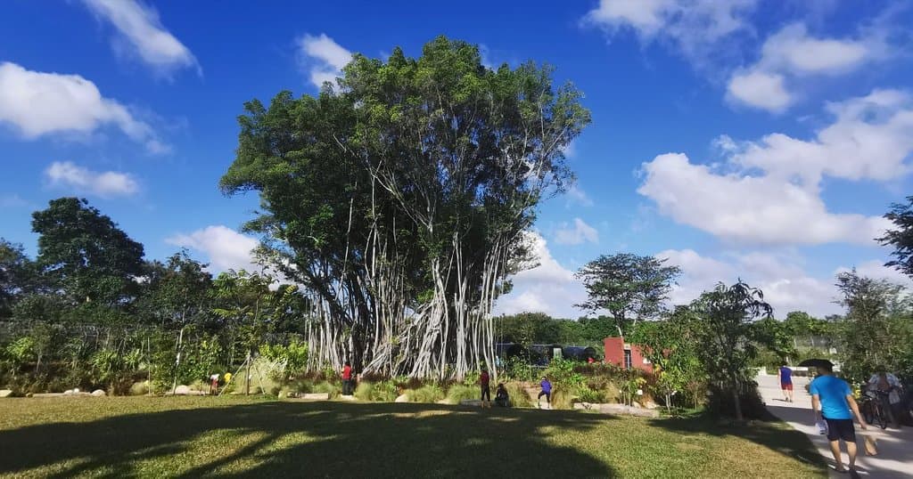 Sembawang Hot Spring Park
