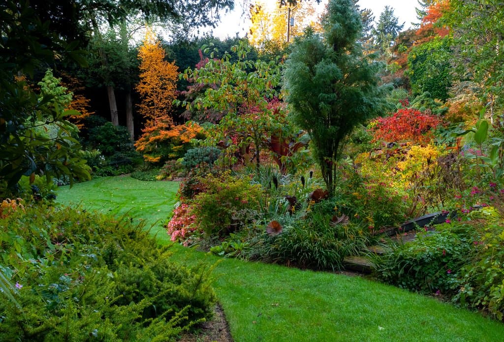 PowellsWood Garden is an urban oasis. Tucked in the neighborhoods of Federal Way, WA.