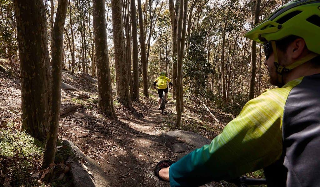 Mountain Biking in Lysterfield Park