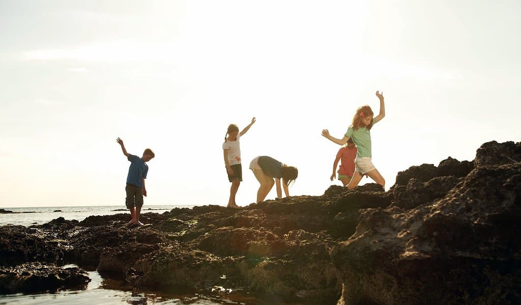 Rockpooling at Ricketts Point Marine Sanctuary