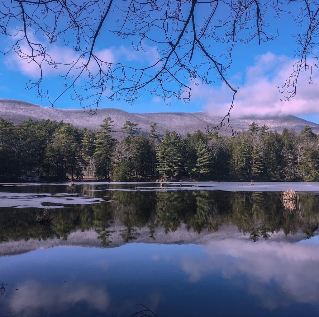Lake Shaftsbury State Park is small, and really pretty in the fall and winter!