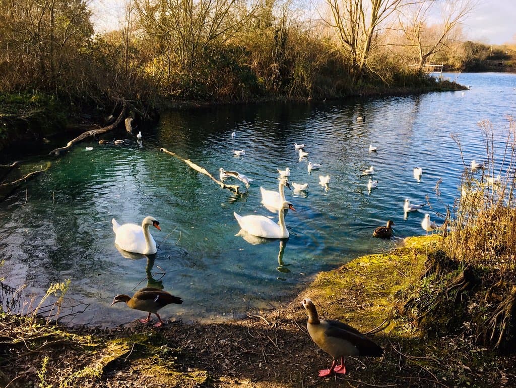 Eastbrookend Country Park