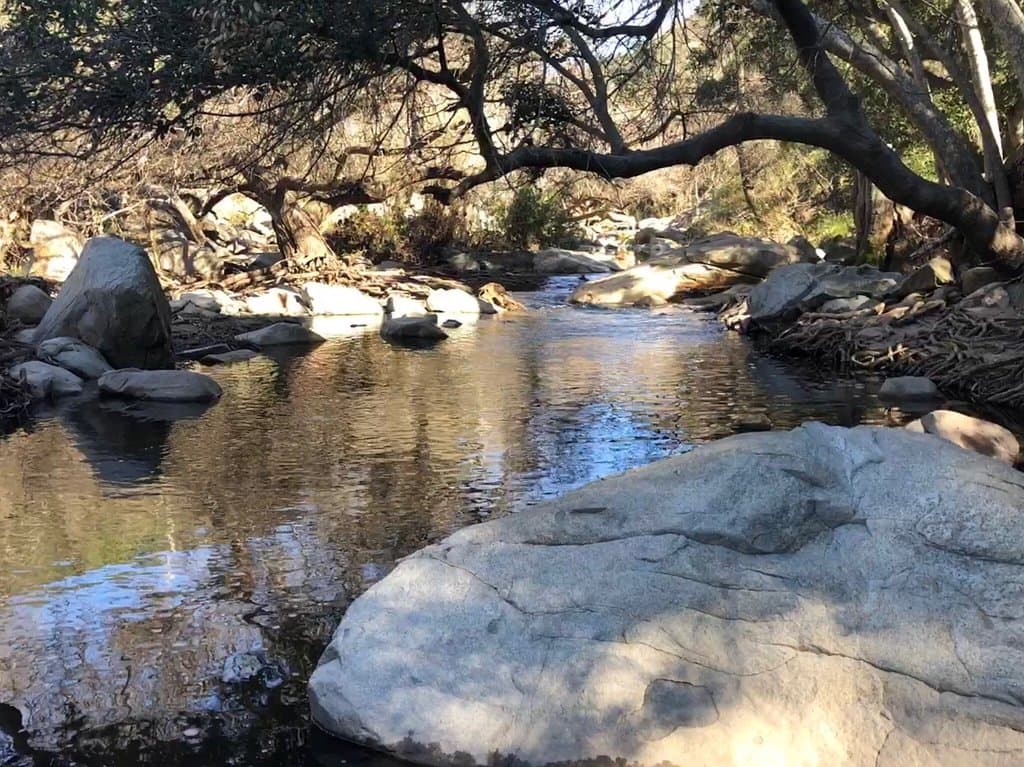 first time visiting the Elfin Forest Reserve and I loved it! I hiked the Way Up trail and ate lunch at the Mariposa Picnic Area with views of the water :)  nice serene creek at the beginning of the trail and pretty white flowers throughout, beautiful scenery and a lovely hike 10/10