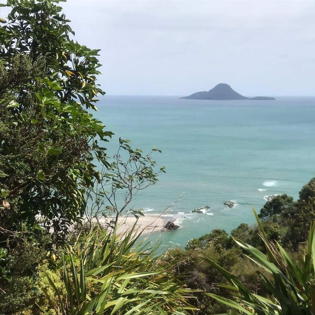 Ngā Tapuwae o Toi Track