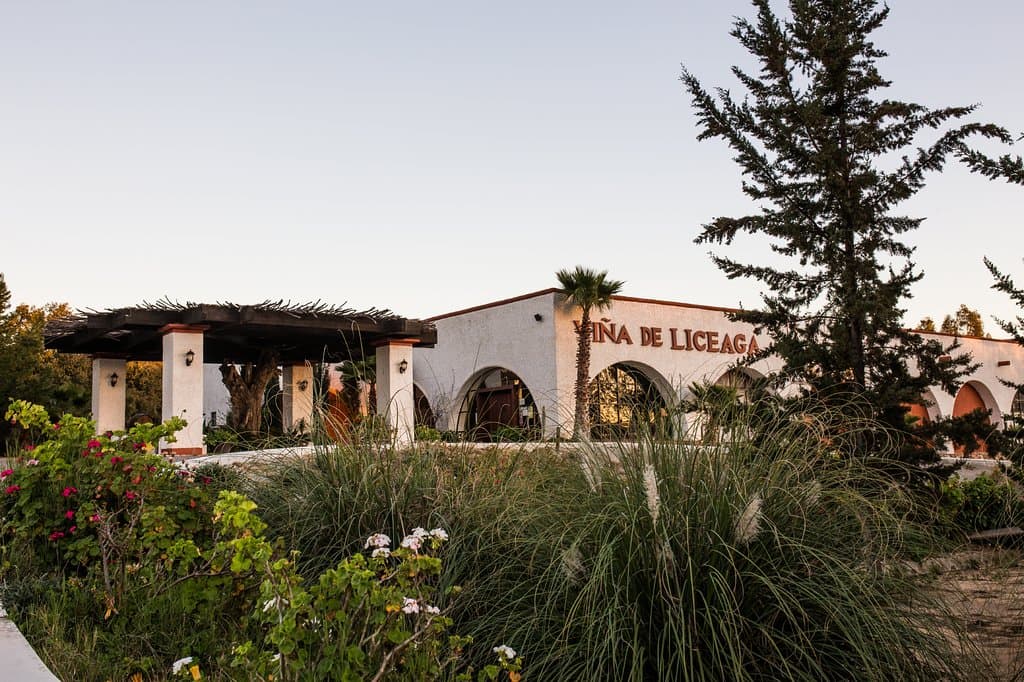 Viña de Liceaga
