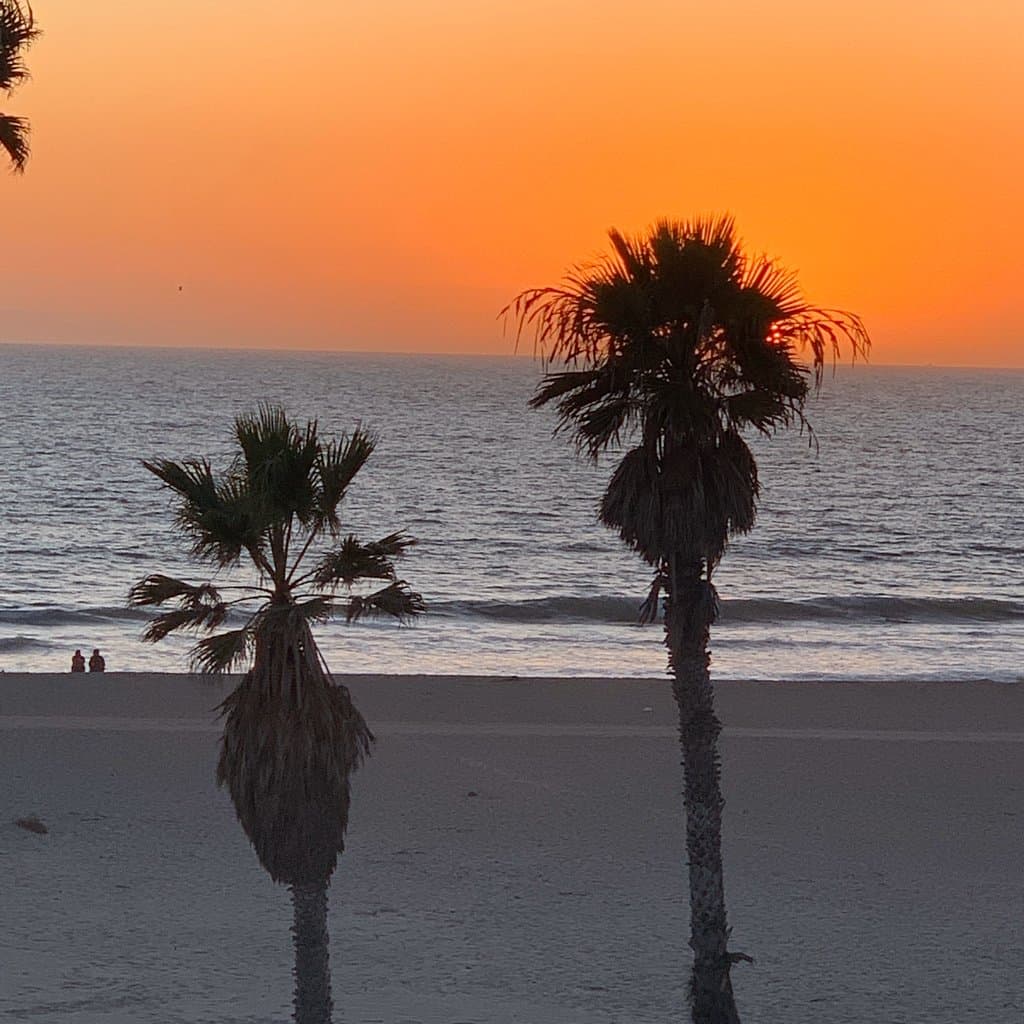 Mandalay State Beach