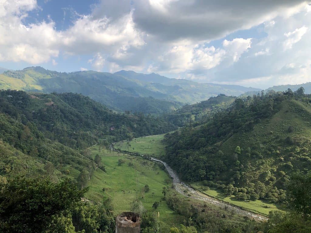 Las Acacias Coffee Farm