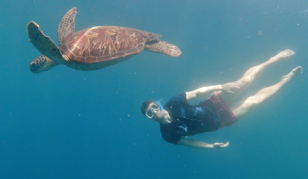 Snorkelling just off Panagsama Beach