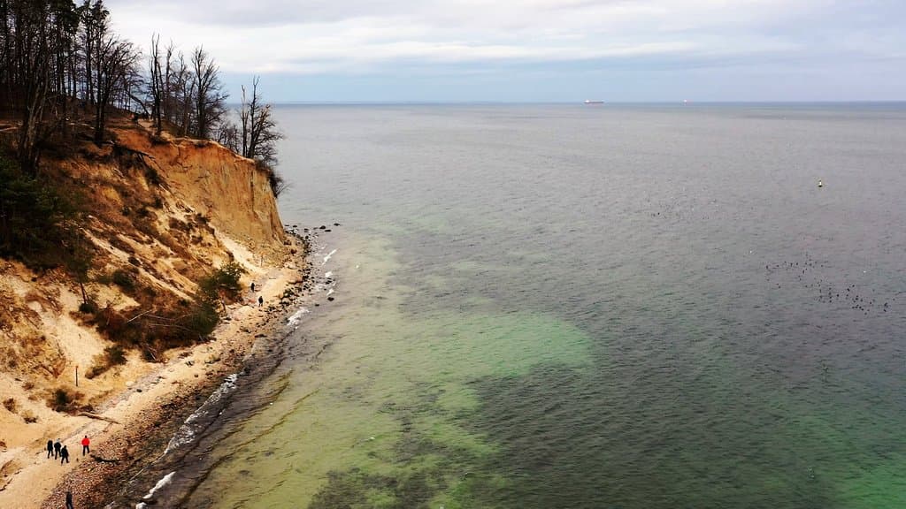 Kępa Redłowska Reserve