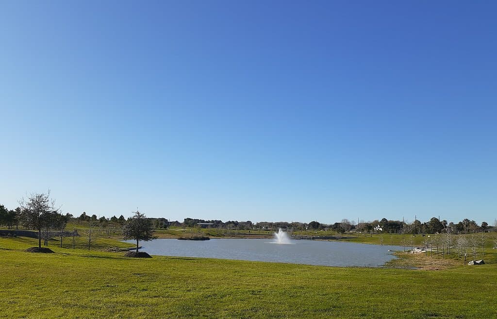 Pond