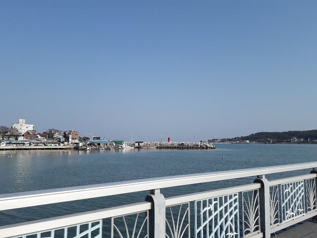 Ilgwang Beach Busan
