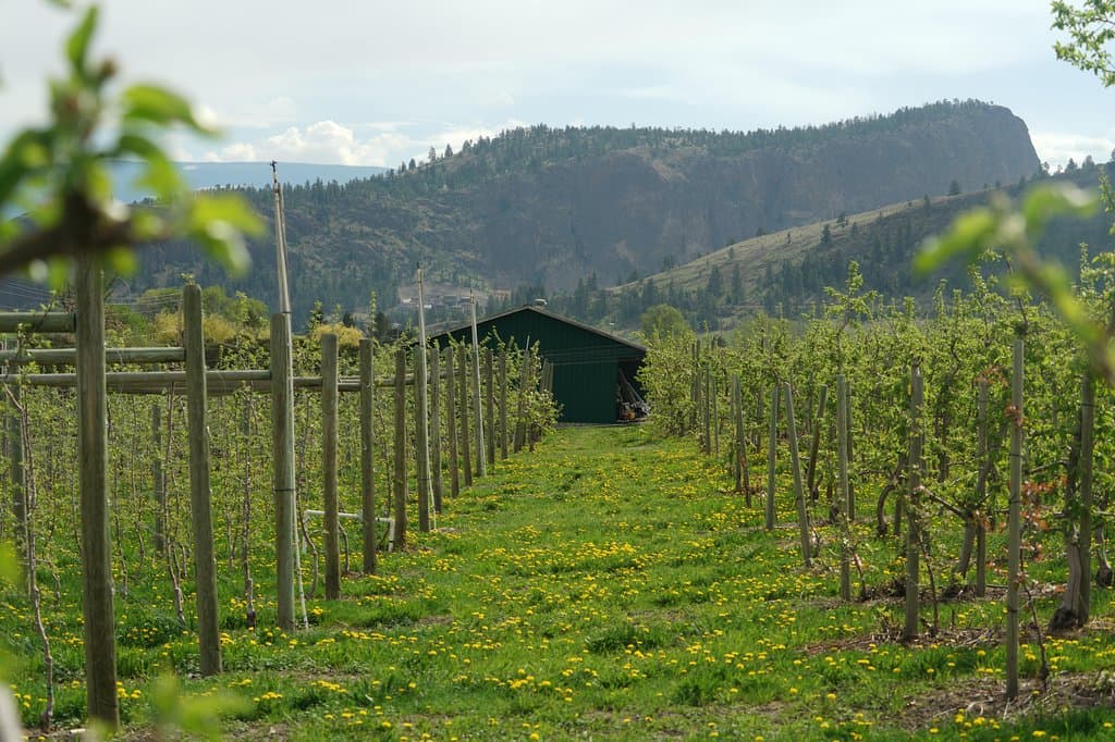 Millionaires' Row Cider Co