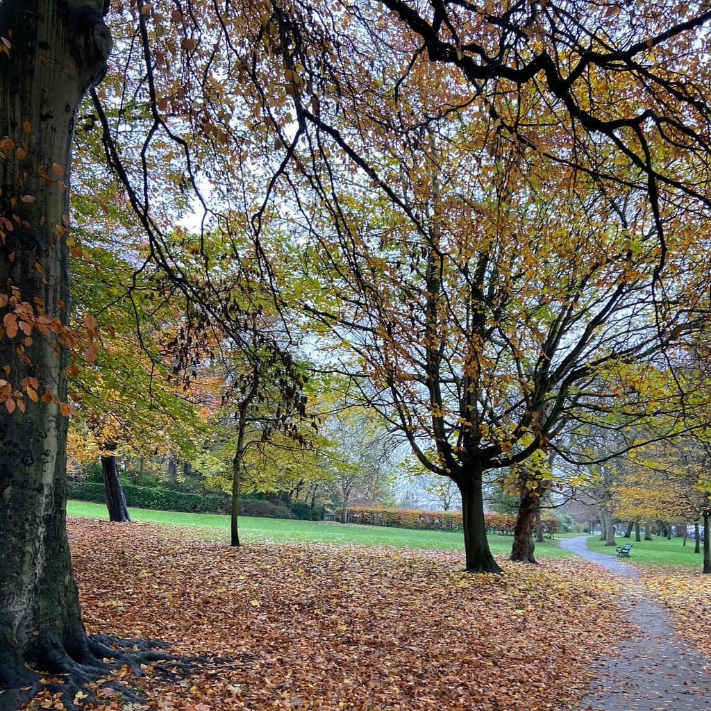 St Ann's Well Gardens