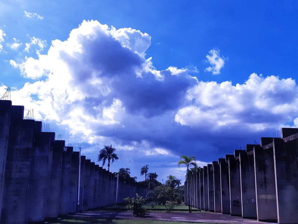 University of Brasília, a special place for sure. That's the view of Central Institute of Sciencies gardens. Love this place. 💙💚💛