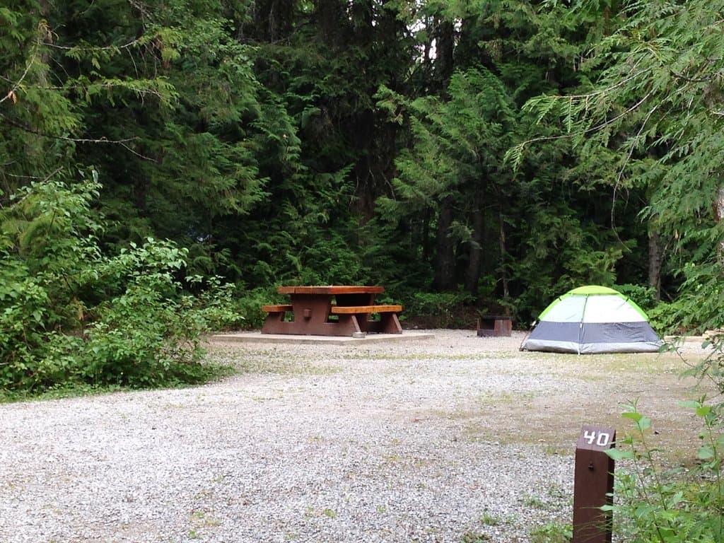 Forested camping sites