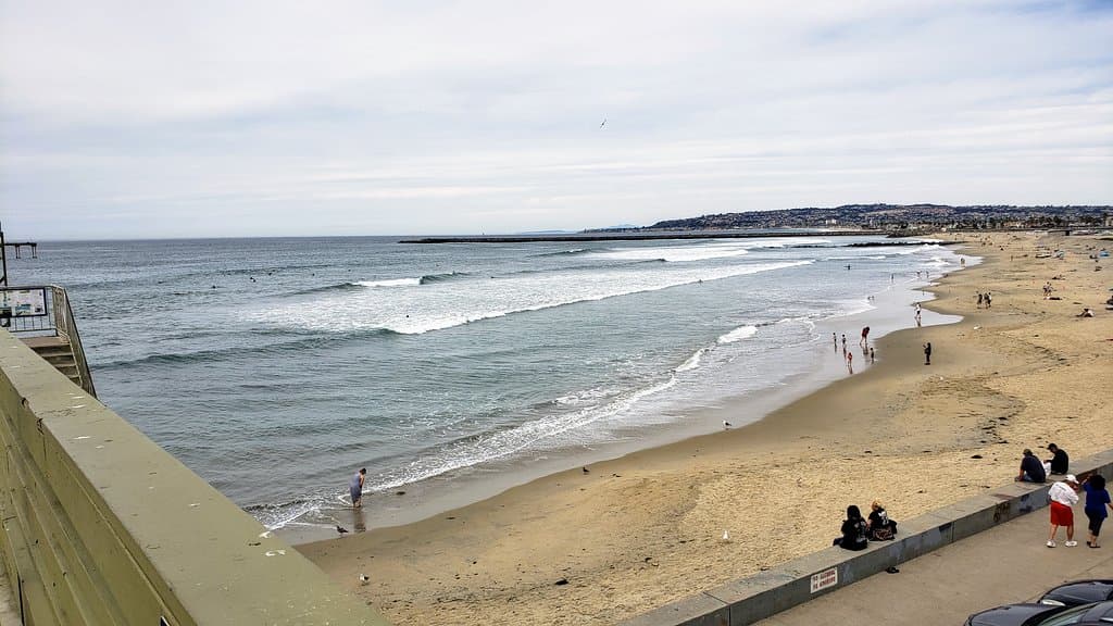 North Beach Dog Beach