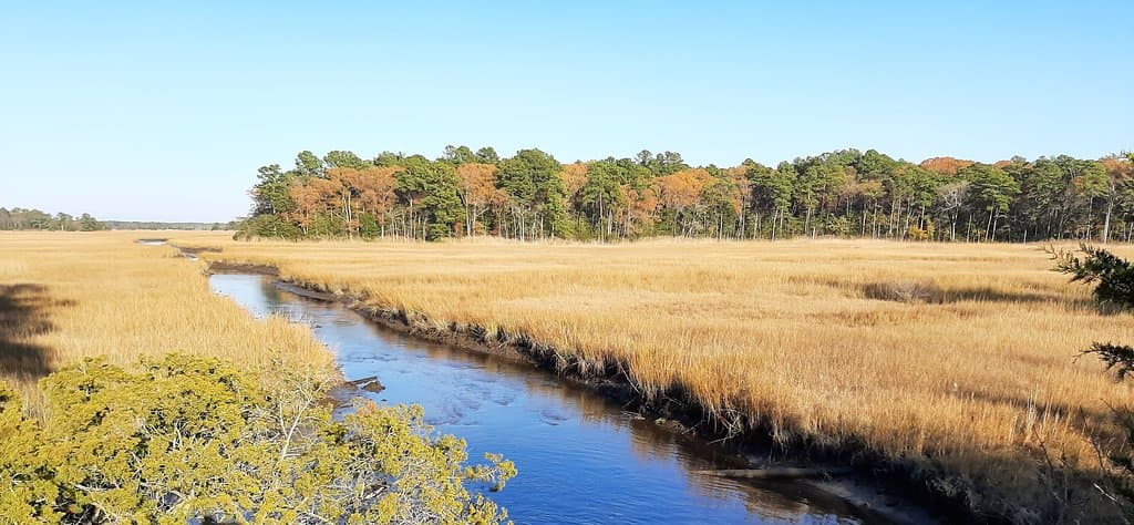 Junction and Breakwater Trail