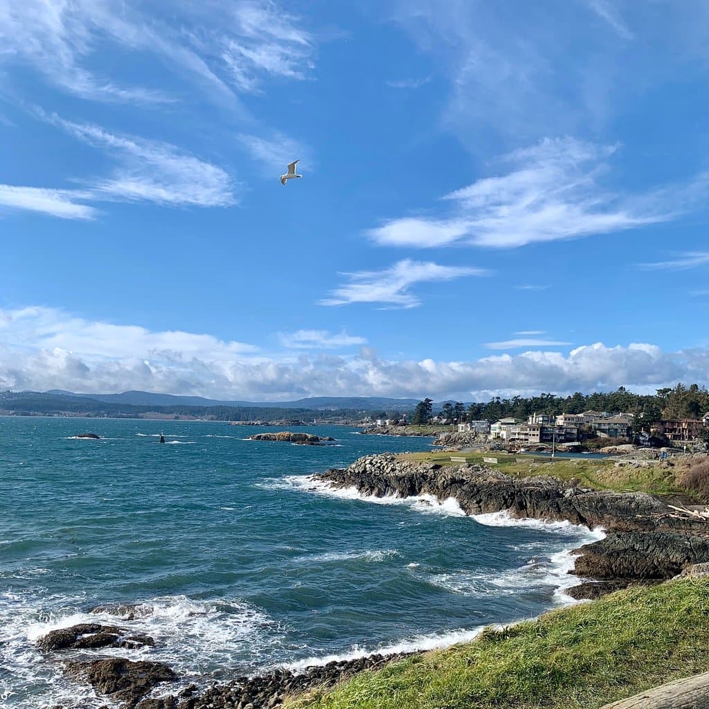Macaulay Point Park