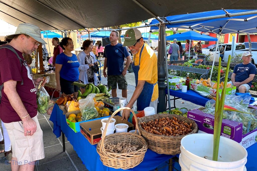 Rincon Farmer's Market