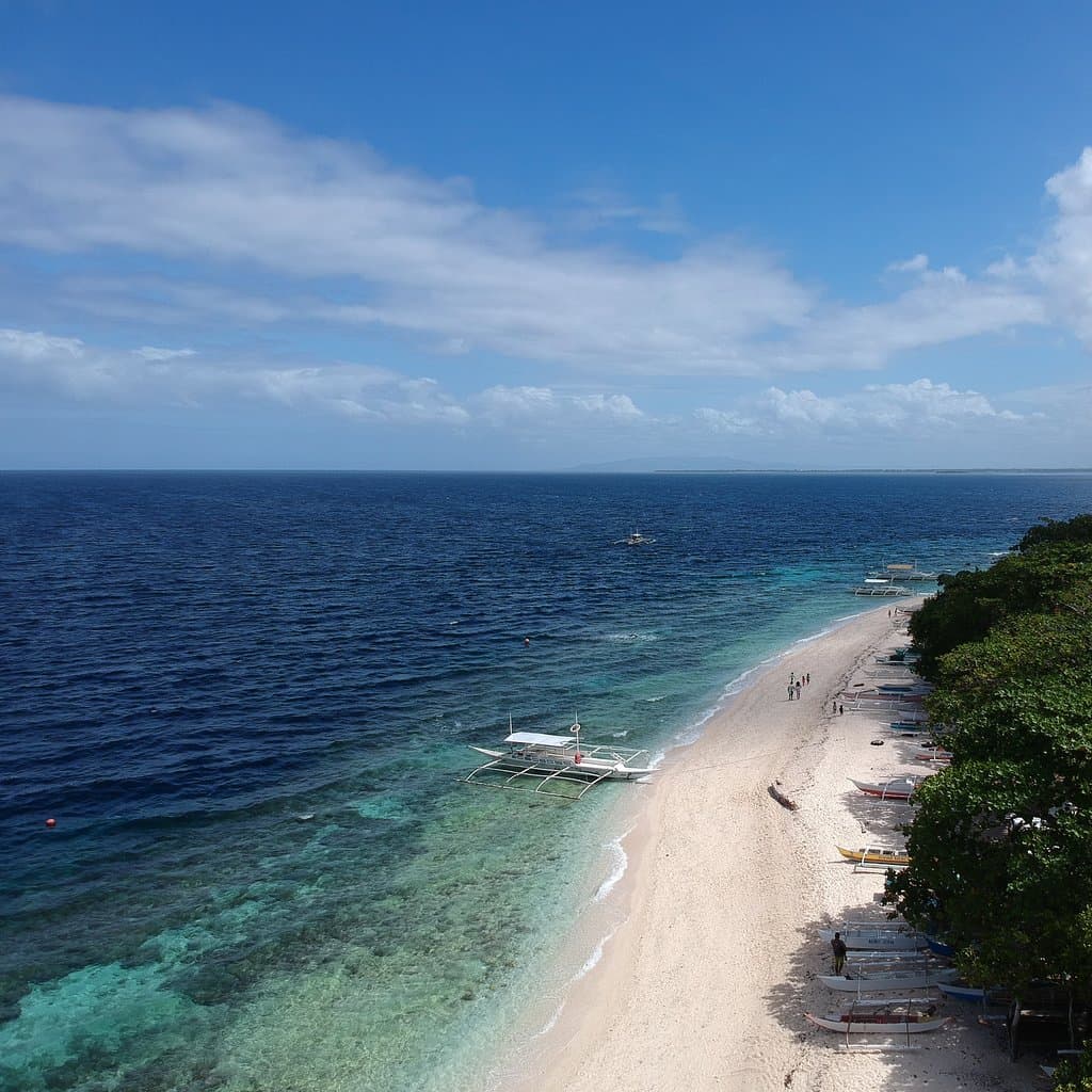 Marine Sanctuary Balicasag Island