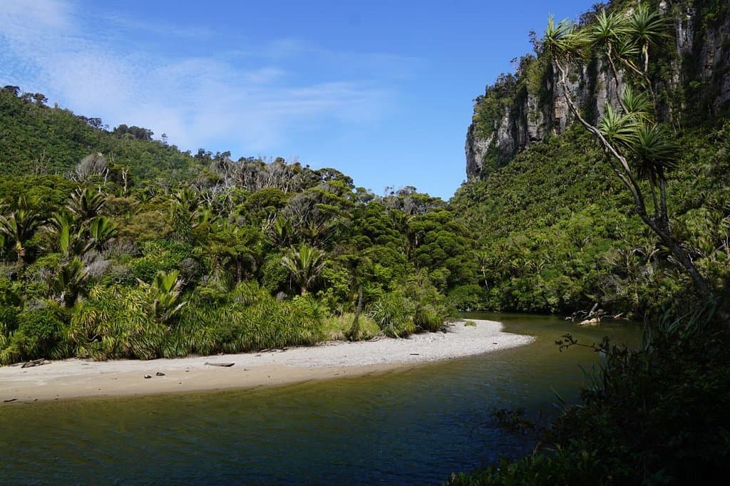 Lovely Porariri River