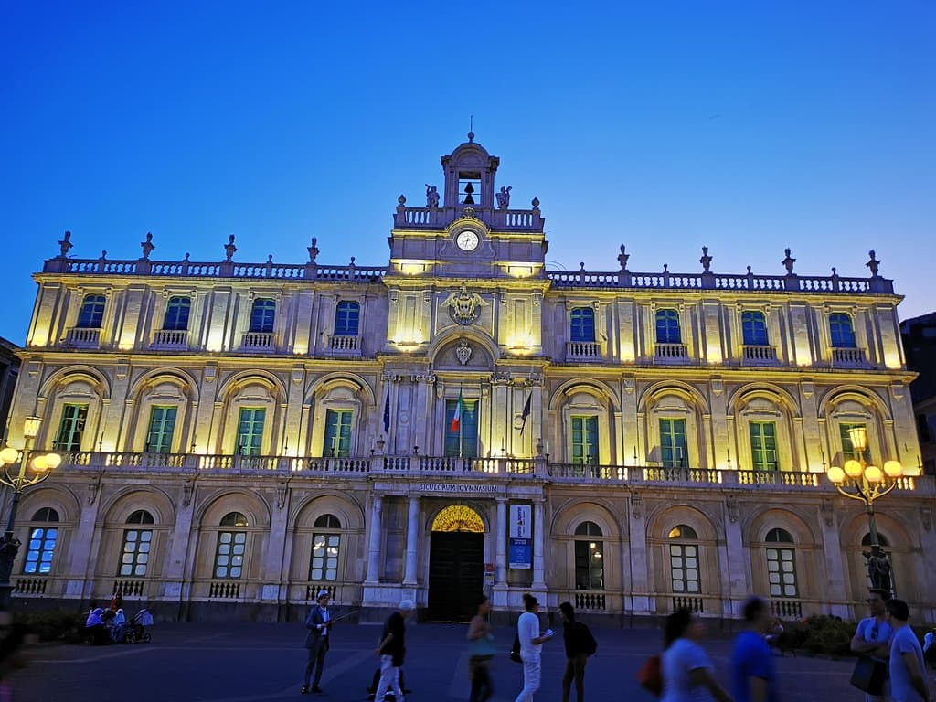 Здание университета в анфас.