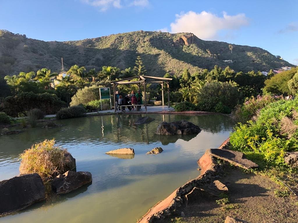 Botanical Garden