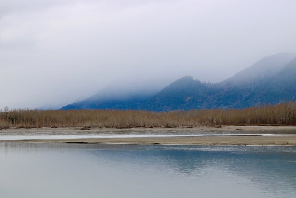 View from the nearby dyke
