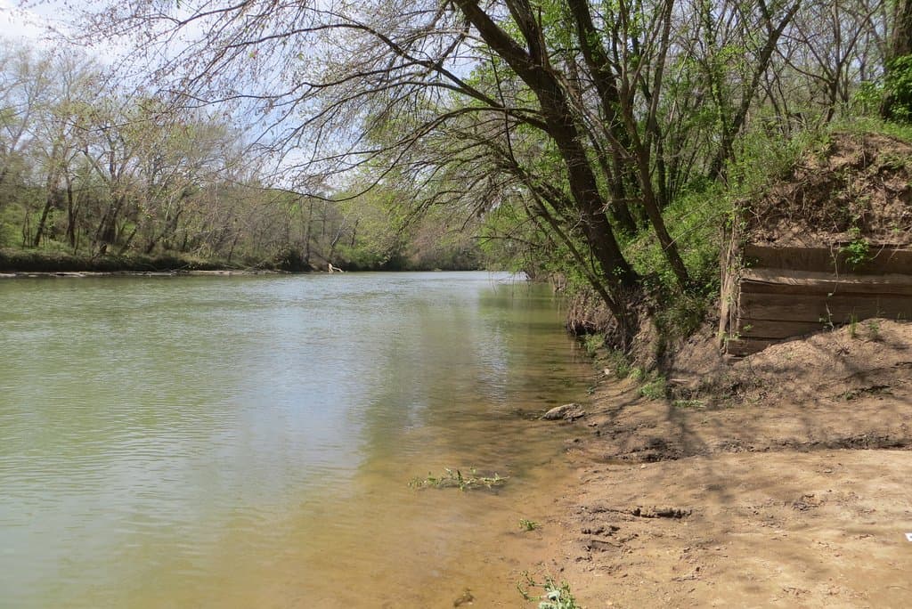 Bastrop County Nature Park, Bastrop, TX, March 2020