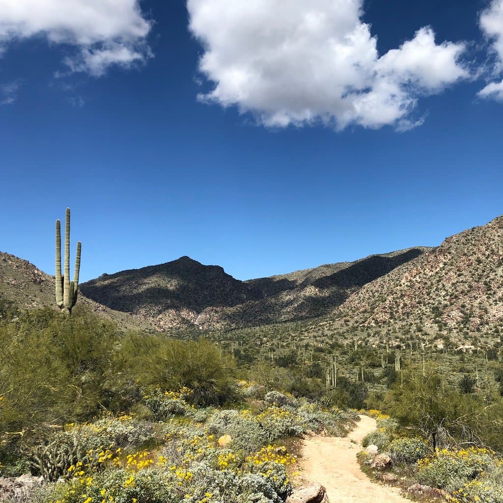 White Tank Mountain Regional Park