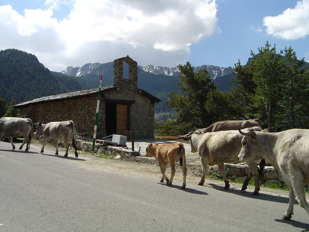 Ubicacion en el valle natural dels Cortals de Encamp. Visita guiada con The Naturexplorer con progrmama Andorra Autèntica.