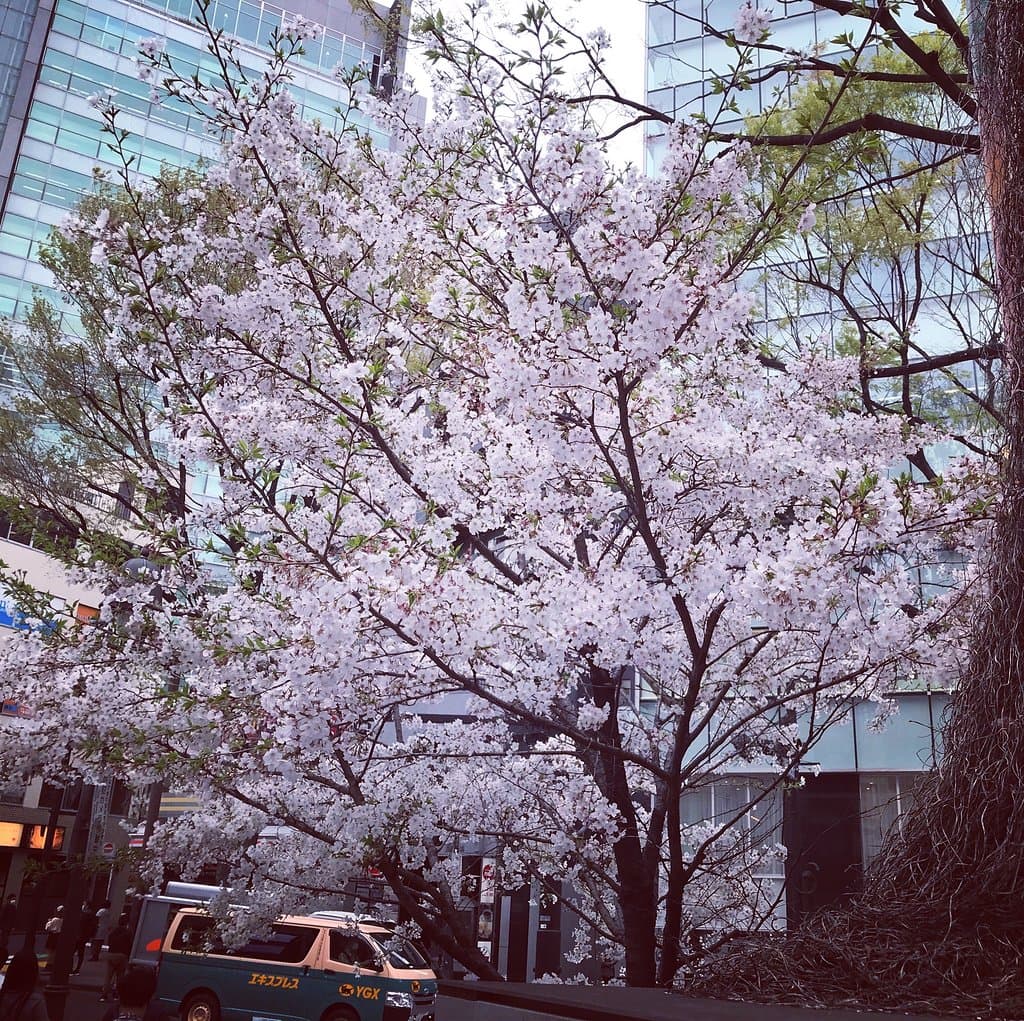 Dogenzaka Shibuya Tokyo