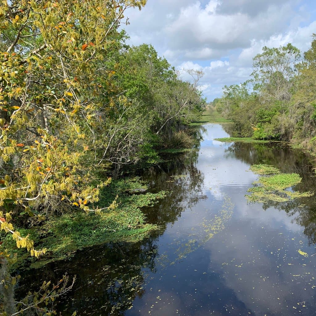 Bayou Barataria Scenic Drive LA-45