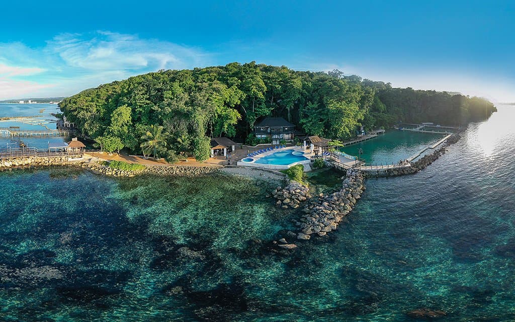 An aerial view from Dolphin Cove