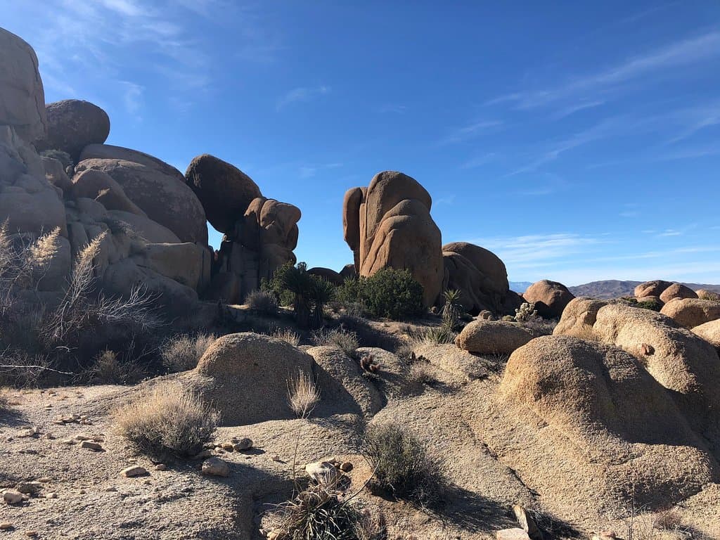 Cottonwood Spring Oasis