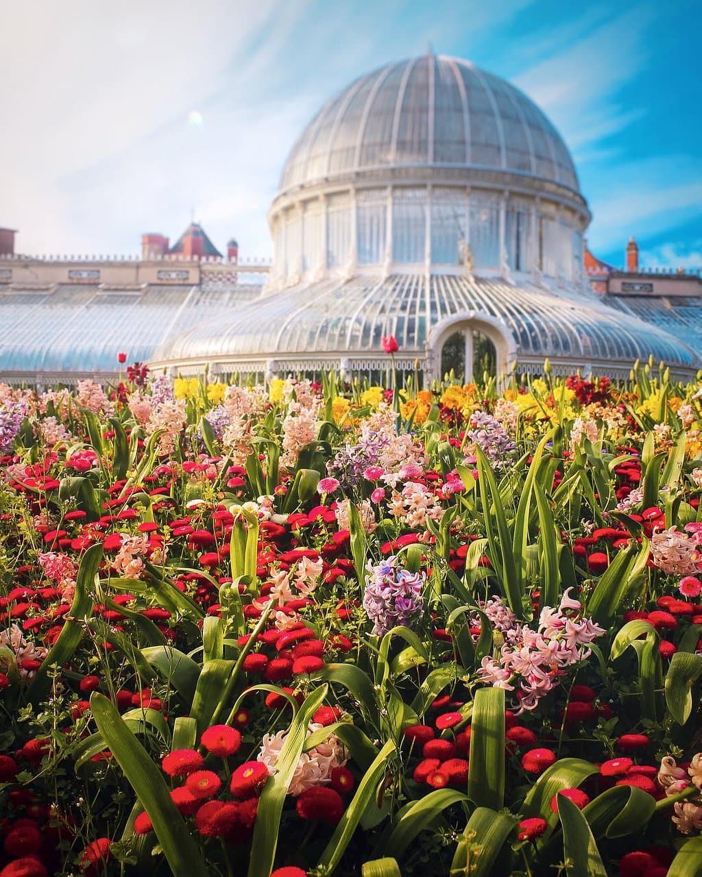 Belfast is blooming! Is your garden wild with flowers? 

📍 Belfast Botanic Gardens, County Antrim

📸 instagram.com/robertttt97/