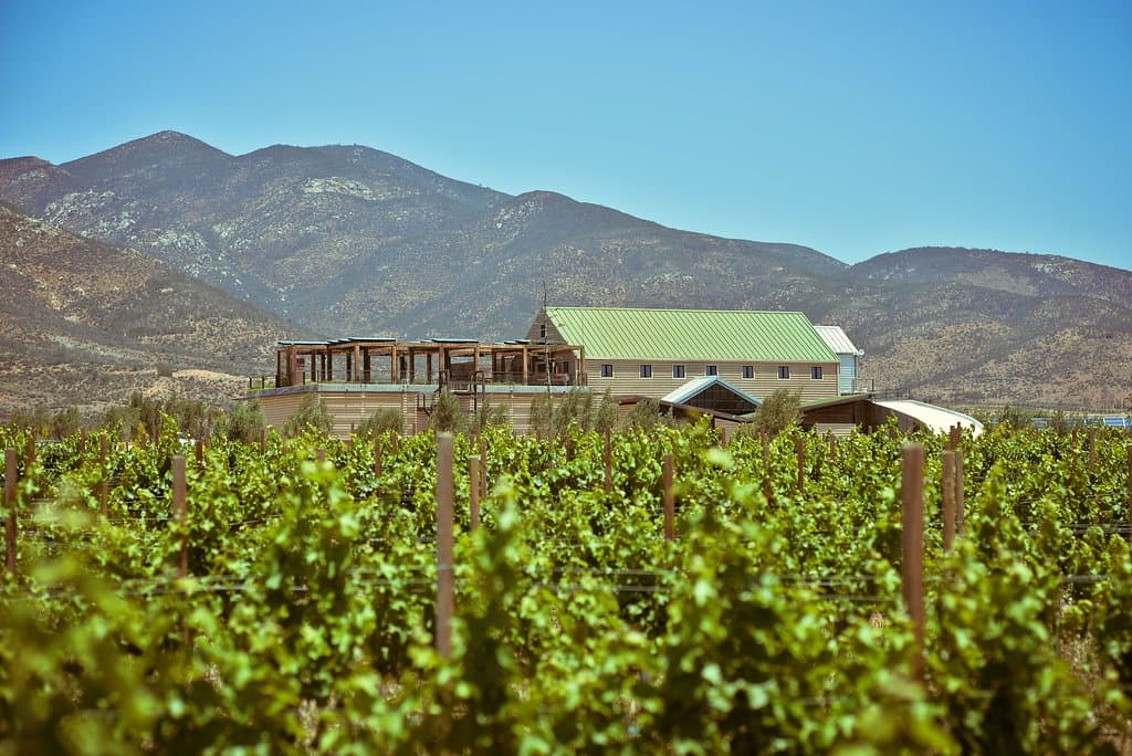 The winery and the vineyards in the summer.