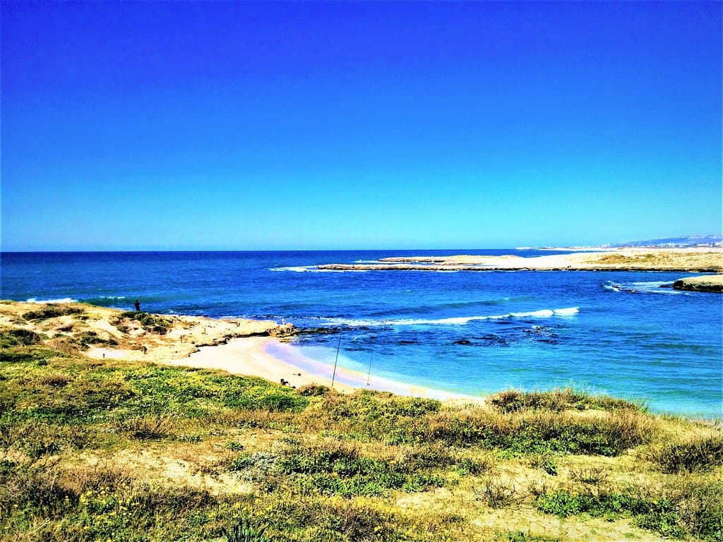 Dor Habonim Beach Nature Reserve - Picture No. 10 - By israroz - (Mar. 2020)