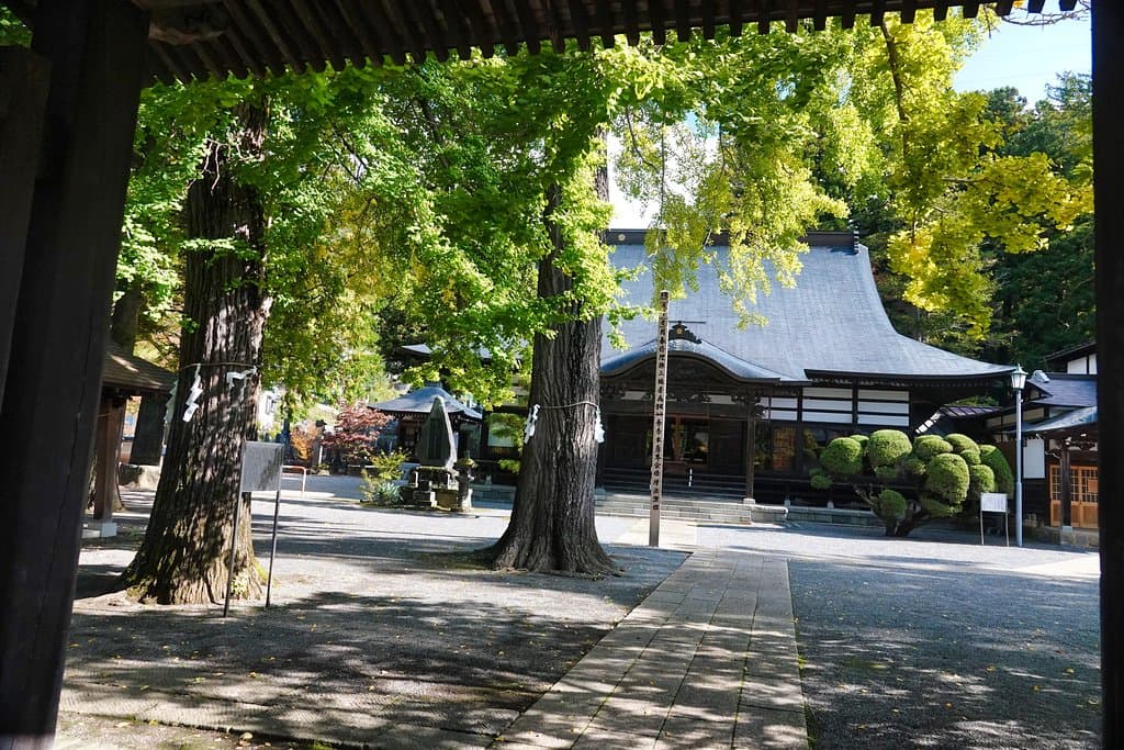 仏法紹隆寺:本堂とイチョウ