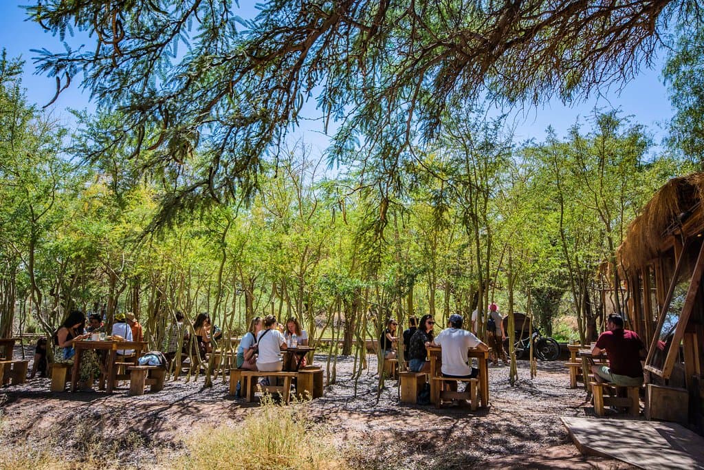 Jueves por la mañana en La Franchutería. 
Nada como un rico croissant, junto con un café de grano recién molido y un jugo natural de naranja bajo la sombra de nuestros chañares.