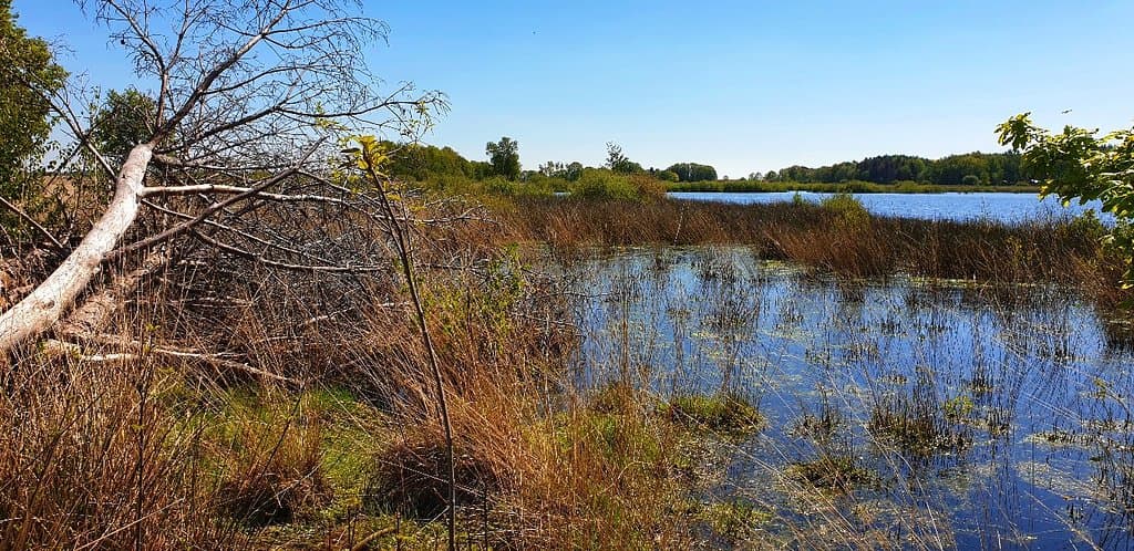 Dwingelderveld National Park