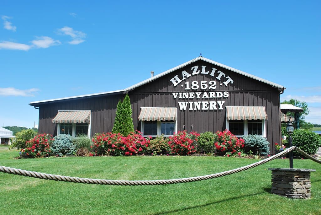 Hazlitt 1852 Vineyards, Hector, NY