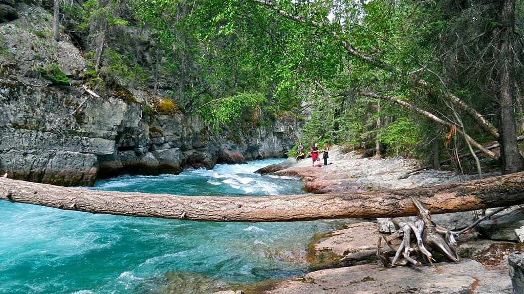 This is where we stop for a Picnic while on the hike Maligne 5 Bridges with Paula of Walks & Talks Jasper.