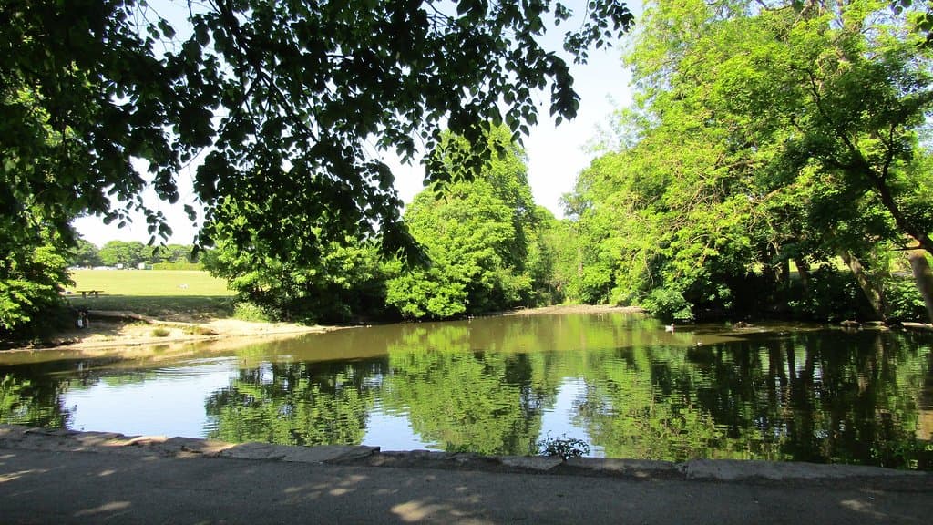 one of the lakes there