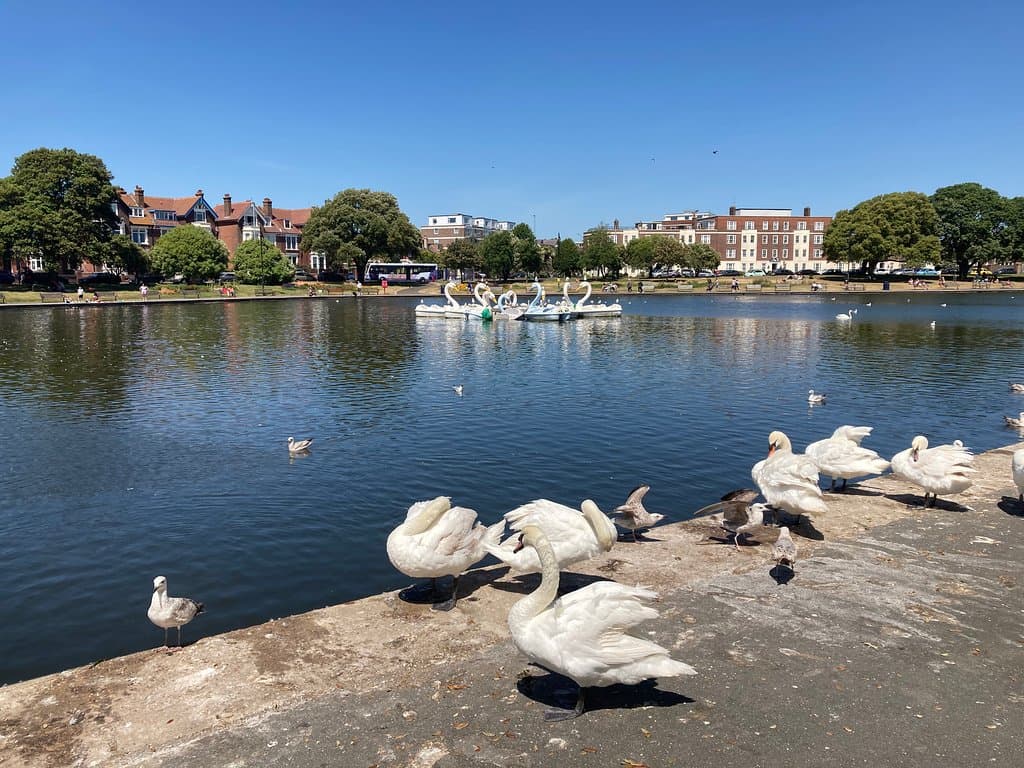 Boating lake 