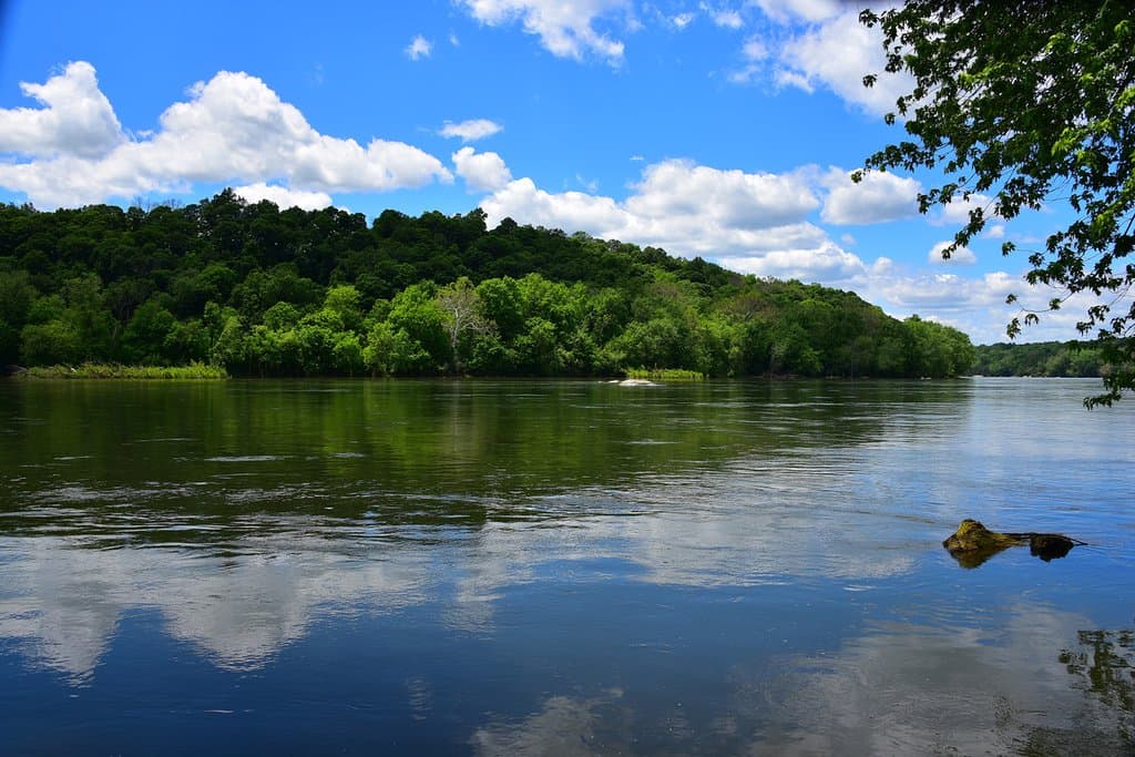 Potomac River along the C&O Canal Point of Rocks