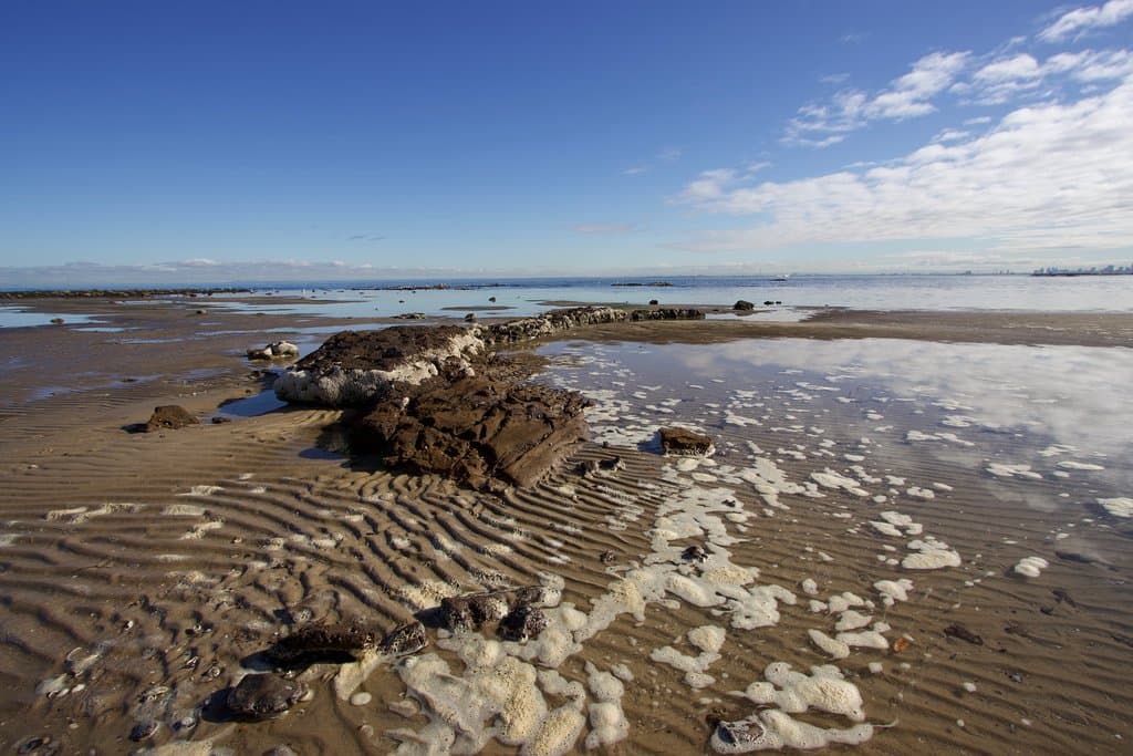 rock formations when tide is out